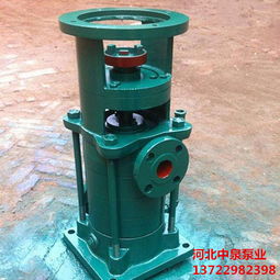 lgr立式多級泵吳川40lg12x7立式多級泵選型