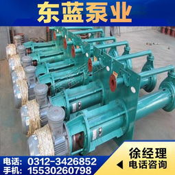 安國(guó)市東藍(lán)水泵廠產(chǎn)品概覽 高效可靠的工業(yè)泵解決方案