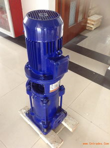 25LG3-10×11立式多級泵 結(jié)構(gòu)、原理與應用