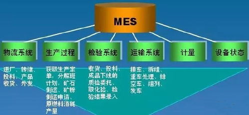 依托資源共享成果 一帶一路沿線企業工博會上尋軟件開發機遇
